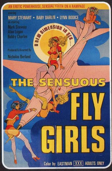 Sensuous Flygirls / Sensuous Fly Girls (1976/DVDRip) Dianne Keating, Dvdrip