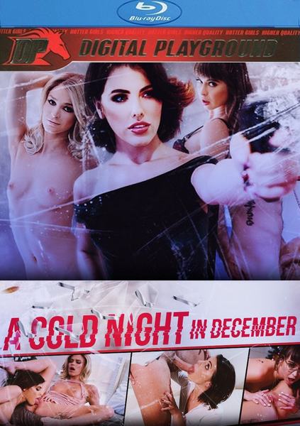 A Cold Night In December (2018/WEBRip/FullHD) Couples, Digital Playground